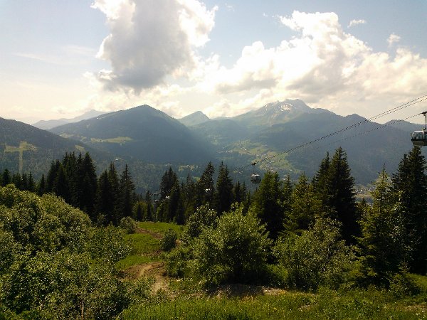WP_003963