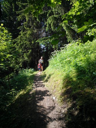 WP_003985