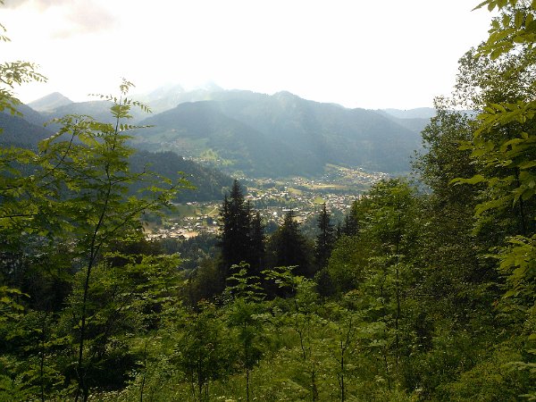 WP_003991