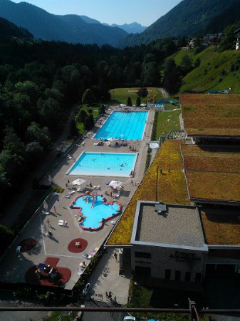 WP_004006