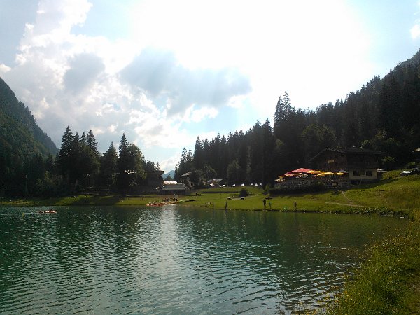 WP_004040