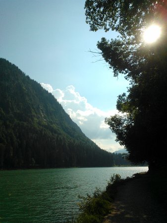 WP_004042