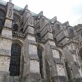 WP_003696