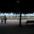 WP_003703