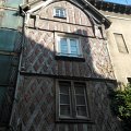 WP_003715