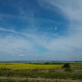 WP_003729