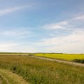 WP_003730