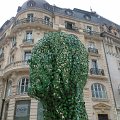 WP_003758