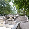 WP_003768