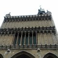 WP_003777