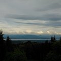 WP_003795