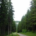 WP_003797