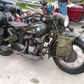 WP_003801