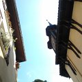 WP_003825
