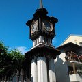 WP_003826