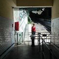 WP_003839