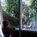 WP_003842