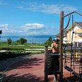 WP_003848
