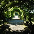 WP_003851