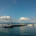 WP_003854