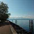 WP_003856