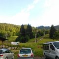 WP_003859