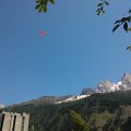 WP_003891
