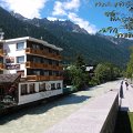 WP_003893