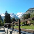 WP_003909
