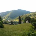 WP_003936