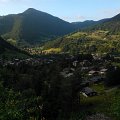 WP_003943