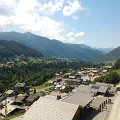WP_003956