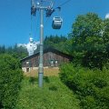 WP_003957