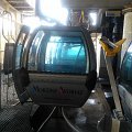 WP_003960