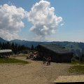 WP_003961