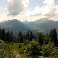 WP_003963