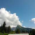 WP_003964