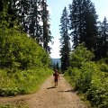 WP_003976