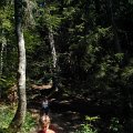 WP_003982
