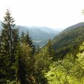 WP_003988