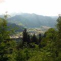 WP_003991