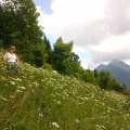 WP_003993