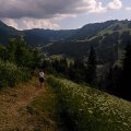 WP_003996