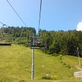 WP_004016