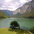 WP_004037