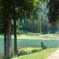 WP_004038