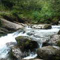 WP_004052