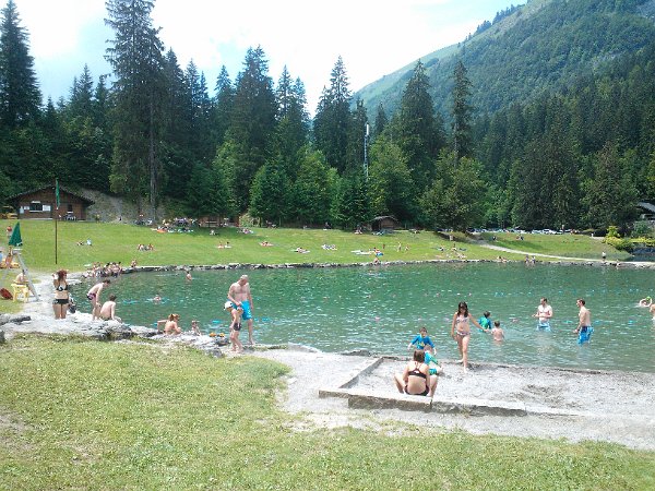 WP_004155