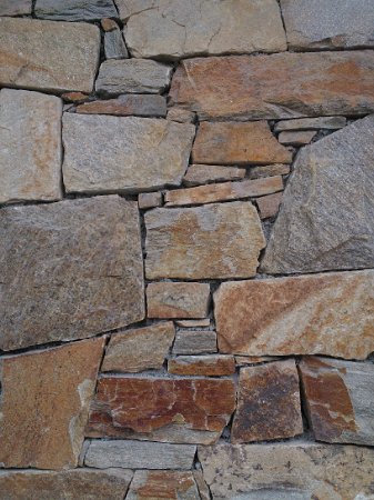 WP_004214