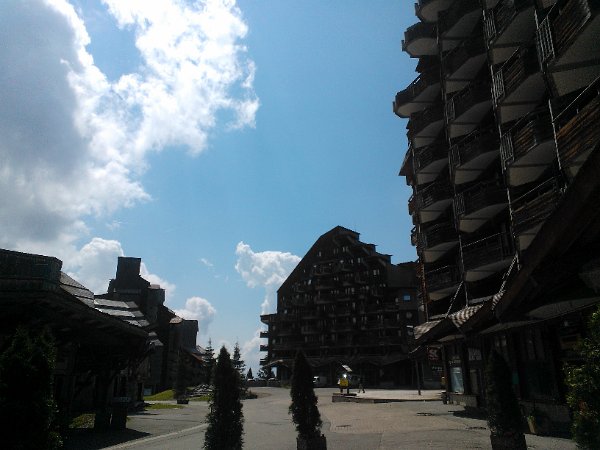 WP_004253